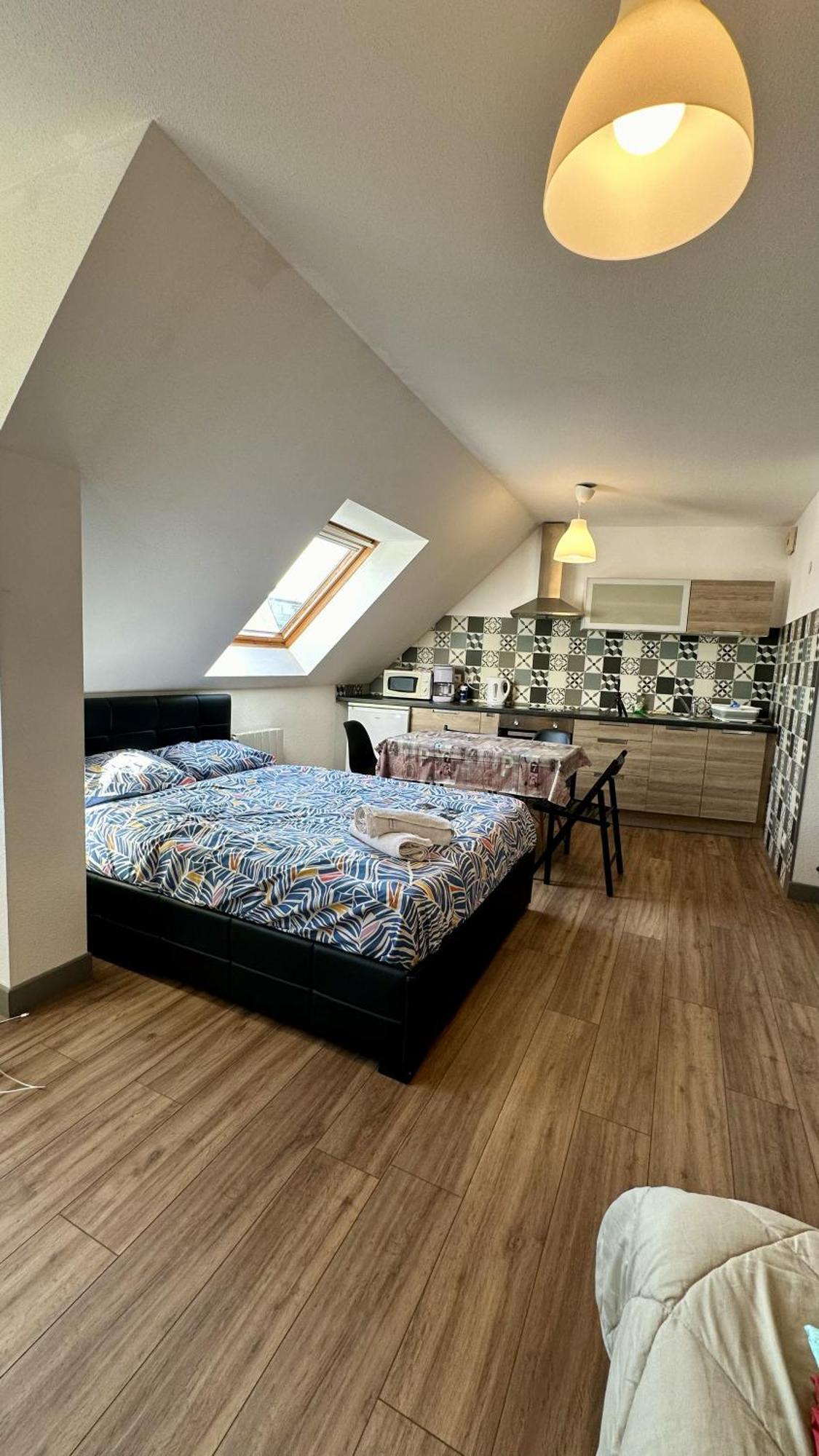 Appartement 4 Personnes En Plein Centre De Кольмар Екстер'єр фото